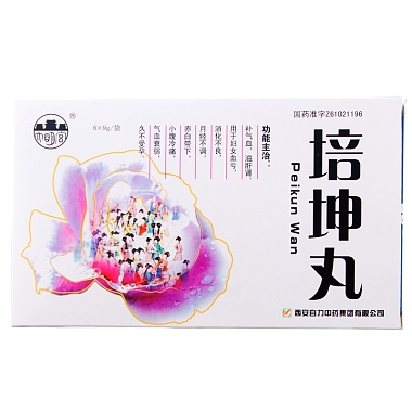 培坤丸(大明宫)