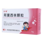 阿莫西林颗粒言净欣