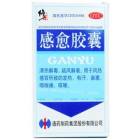 感愈胶囊(修正)