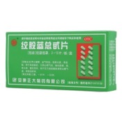 绞股蓝总甙片(正大)