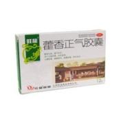 藿香正气胶囊(旺龙)