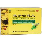 栀子金花丸(秦昆)