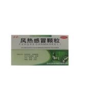 风热感冒颗粒(龙泰)
