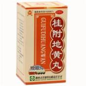 桂附地黄丸(东大夫)