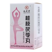 桂枝茯苓丸(九芝堂)