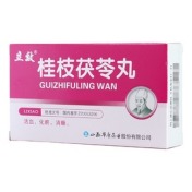 桂枝茯苓丸(立效)