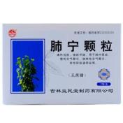 肺宁颗粒(益民)