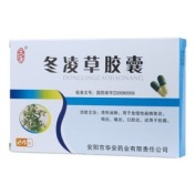 冬凌草胶囊(华安)