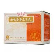 加味藿香正气丸(冯了性)