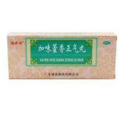 加味藿香正气丸(福東海)