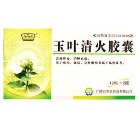 玉葉清火膠囊(玉屏山)包裝主圖