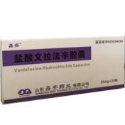盐酸文拉法辛胶囊(鑫齊)