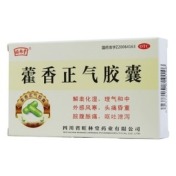 藿香正气胶囊(旺林堂)