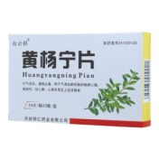 黄杨宁片(白云桥)