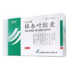 银杏叶胶囊(元之通)