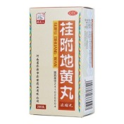 桂附地黄丸(孙真人)