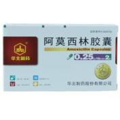 阿莫西林胶囊(华北)