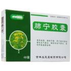 肺宁胶囊(罗米奥)