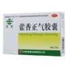 藿香正气胶囊(天元)