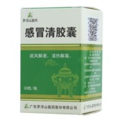 感冒清胶囊(罗浮山)