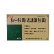 肺宁胶囊(羚康)