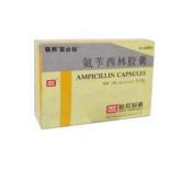 氨苄西林胶囊(安必仙)