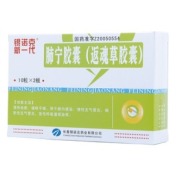 肺宁胶囊(新一代)