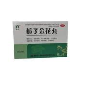 栀子金花丸(天一秦)
