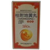 桂附地黄丸(汉源)