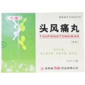 头风痛丸(平康)