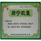 肺宁胶囊(益民)