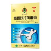 麝香跌打风湿膏(雷公)