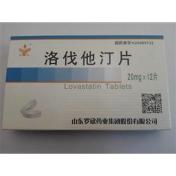 洛伐他汀片(罗欣)