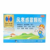 风寒感冒颗粒(修正)