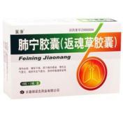 肺宁胶囊(翼康)