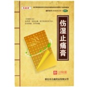 伤湿止痛膏(力康)