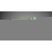 盐酸小檗碱片(蒙欣)