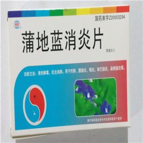 蒲地蓝消炎片(五0五)包装主图