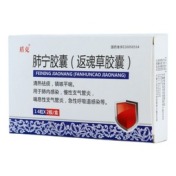 肺宁胶囊(盾克)