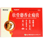 壮骨麝香止痛膏()