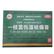 一枝蒿伤湿祛痛膏(贵阳)