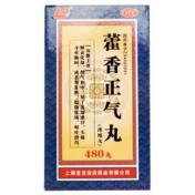 藿香正气丸(上龙)