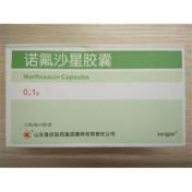 诺氟沙星胶囊(特格尔)