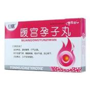 暖宫孕子丸(坤复安)