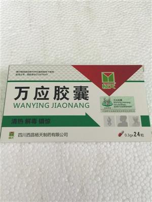 万应胶囊(杨天)