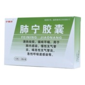 肺宁胶囊(于藥師)