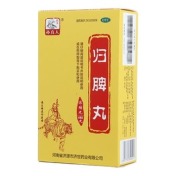 归脾丸(药王孙真人)