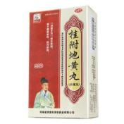 桂附地黄丸(孙真人)