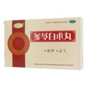 参苓白术丸(寳仁堂)