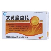 大黄䗪虫片(宏大)